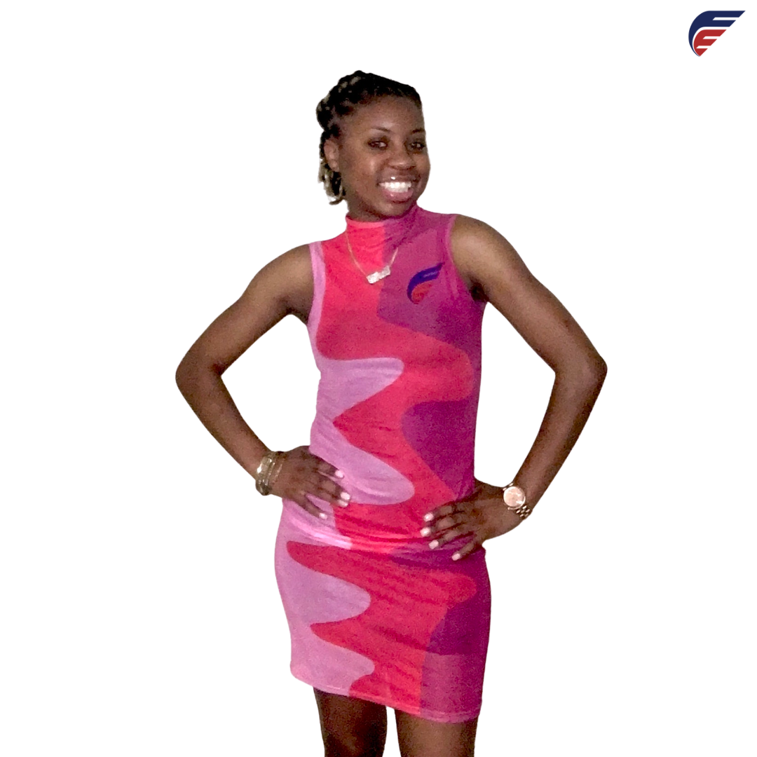 Sleeveless 3 Layer Pink Fly Evolution O-neck See Through Dress